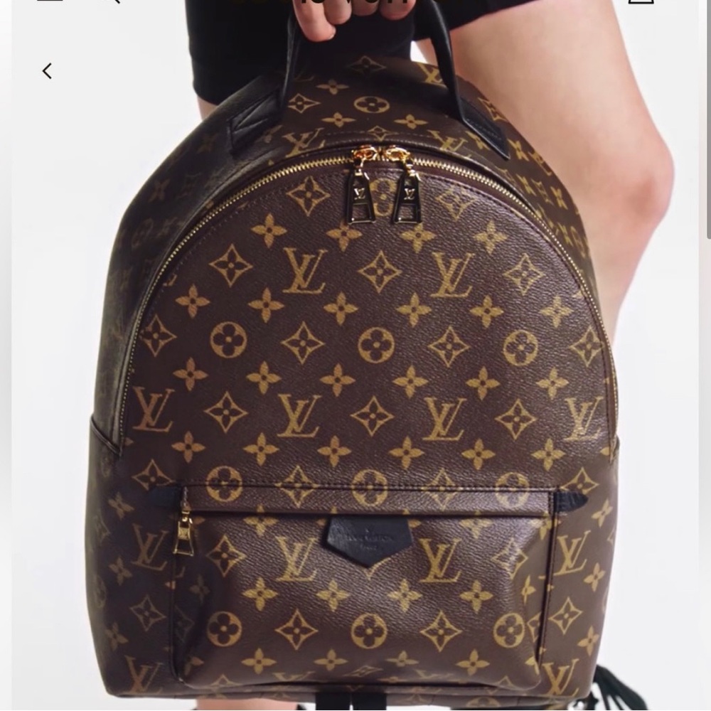 Louis Vuitton Palm Springs PM Backpack